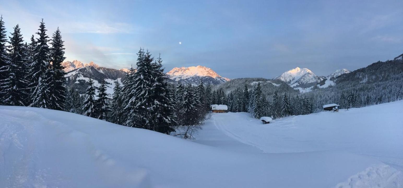 Chalet Haberlhuette Fieberbrunn Eksteriør bilde